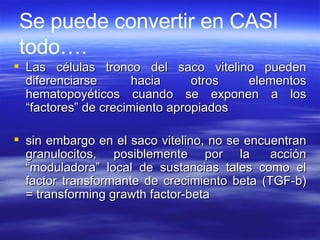 Las células tronco del saco vitelino pueden diferenciarse  hacia otros elementos hematopoyéticos cuando se exponen a los “factores” de crecimiento apropiados  sin embargo en el saco vitelino, no se encuentran granulocitos, posiblemente por la  acción “moduladora” local de sustancias tales como el factor transformante de crecimiento beta (TGF-b) = transforming grawth factor-beta Se puede convertir en CASI todo…. 