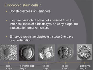 :Embryonic stem cells
 Donated excess IVF embryos.
 they are pluripotent stem cells derived from the
inner cell mass of a blastocyst, an early-stage pre-
implantation embryo human.
 Embryos reach the blastocyst stage 5–6 days
post fertilization.
Egg
Day 0
Fertilized egg
Day 1
2-cell
Day 2
8-cell
Day 3
Blastocyst
Day 6
 