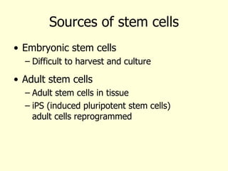 Stem Cells And Potential Clinical Applications | PPT