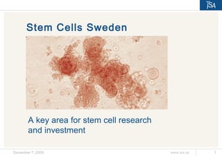 Stem Cells Sweden  A key area for stem cell research  and investment   