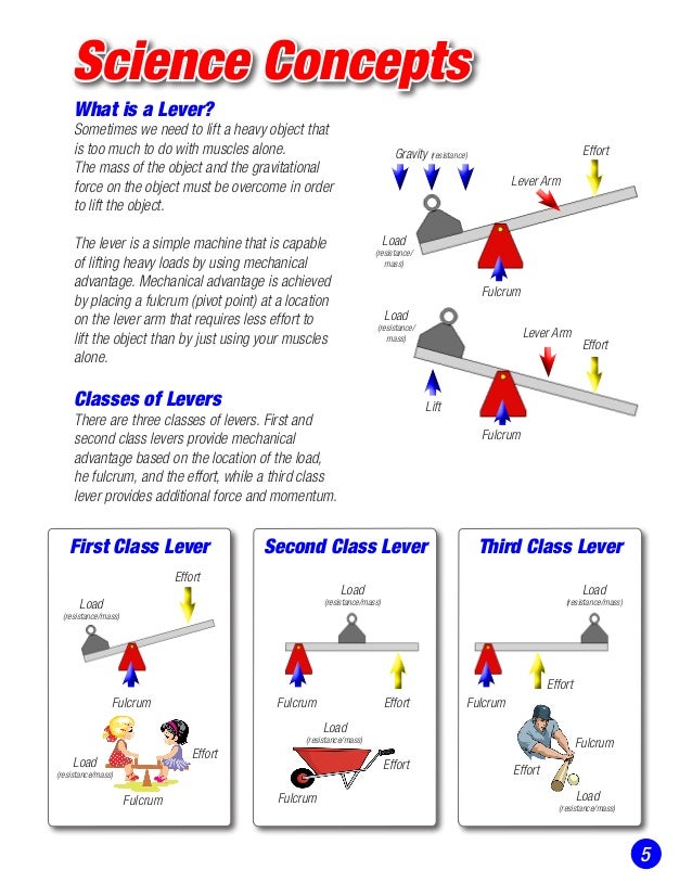 Stem Education Levers