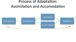 New	
  Situa9on	
   Disequilibrium	
  
Assimila9on	
  
Equilibrium	
  
Accommoda9on	
  
Process	
  of	
  Adapta9on:	
  	
  
Assimila9on	
  and	
  Accomoda9on	
  
 