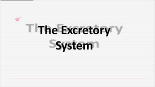 The Excretory
System
 
