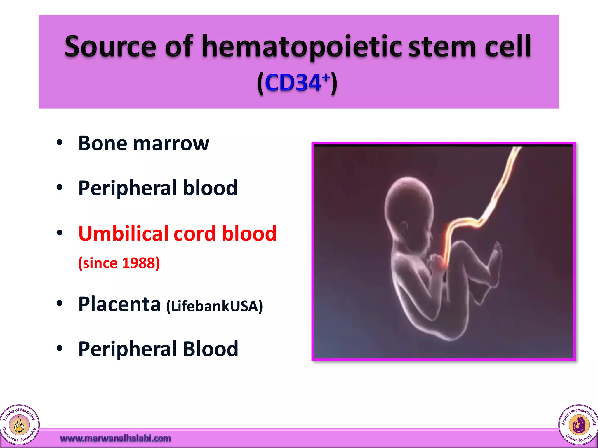 Cord Blood Stem Cells | PDF
