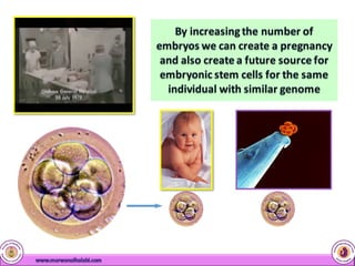 Cord Blood Stem Cells | PDF