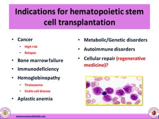 Cord Blood Stem Cells | PDF