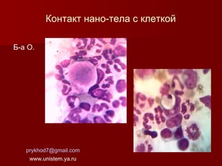Контакт нано-тела с клеткой
Б-а О.

prykhod7@gmail.com
www.unistem.ya.ru

 