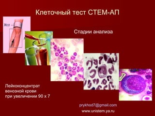 Клеточный тест СТЕМ-АП
Стадии анализа

Лейкоконцентрат
венозной крови
при увеличении 90 х 7
prykhod7@gmail.com
www.unistem.ya.ru

 