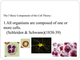CELL THEORY- DISCUSSION OF DIFF. THEORY. | PPT