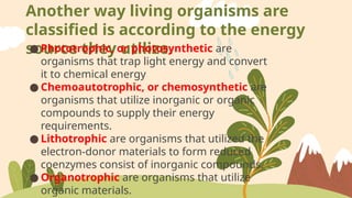 plant and animal nutrition..........pptx