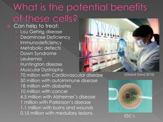 What is the potential benefits of these cells?Can help to treat:Lou Gehrig diseaseDeaminase DeficiencyImmunodeficiencyMetabolic defectsDown SyndromeLeukemiaHuntington diseaseMuscular Dystrophy70 million with Cardiovascular disease50 million with autoimmune disease18 million with diabetes10 million with cancer4.5 million with Alzheimer’s disease1 million with Parkinson’s disease1.1 million with burns and wounds0.15 million with medullary lesions(Global Grind 2010)ESC’s