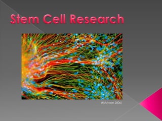 Stem Cell Research (Robinson 2006) 