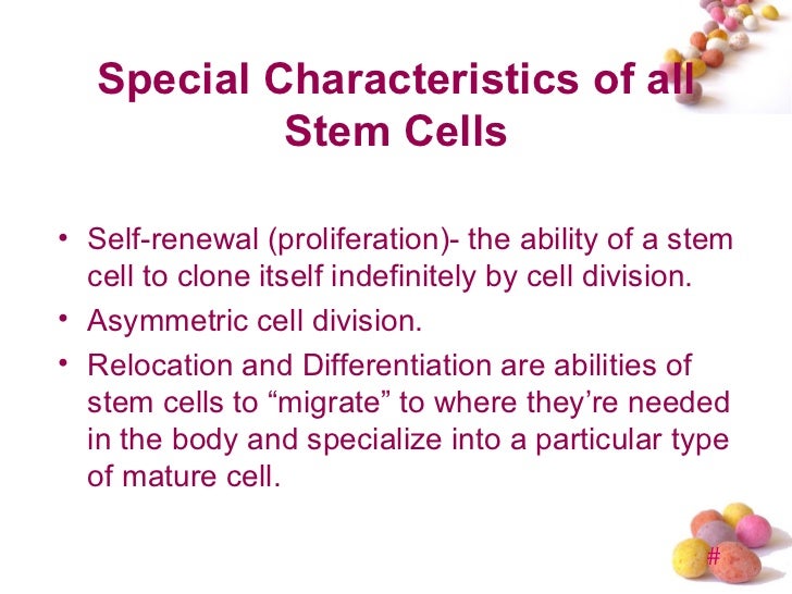 Stem cell
