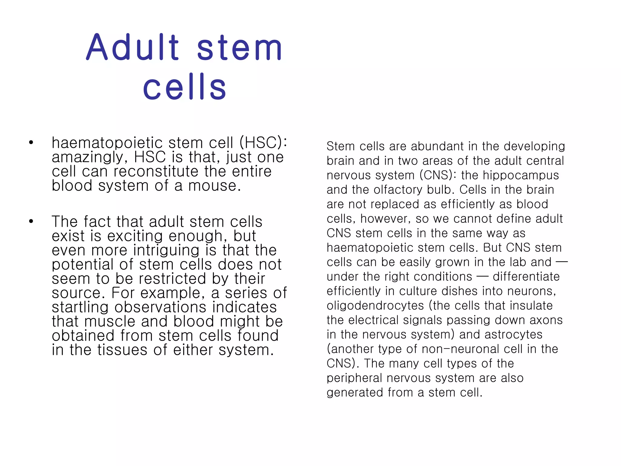 Adult stem cells haematopoietic stem cell (HSC): amazingly, HSC is that, just one cell can reconstitute the entire blood system of a mouse. The fact that adult stem cells exist is exciting enough, but even more intriguing is that the potential of stem cells does not seem to be restricted by their source. For example, a series of startling observations indicates that muscle and blood might be obtained from stem cells found in the tissues of either system.  Stem cells are abundant in the developing brain and in two areas of the adult central nervous system (CNS): the hippocampus and the olfactory bulb. Cells in the brain are not replaced as efficiently as blood cells, however, so we cannot define adult CNS stem cells in the same way as haematopoietic stem cells. But CNS stem cells can be easily grown in the lab and — under the right conditions — differentiate efficiently in culture dishes into neurons, oligodendrocytes (the cells that insulate the electrical signals passing down axons in the nervous system) and astrocytes (another type of non-neuronal cell in the CNS). The many cell types of the peripheral nervous system are also generated from a stem cell. 