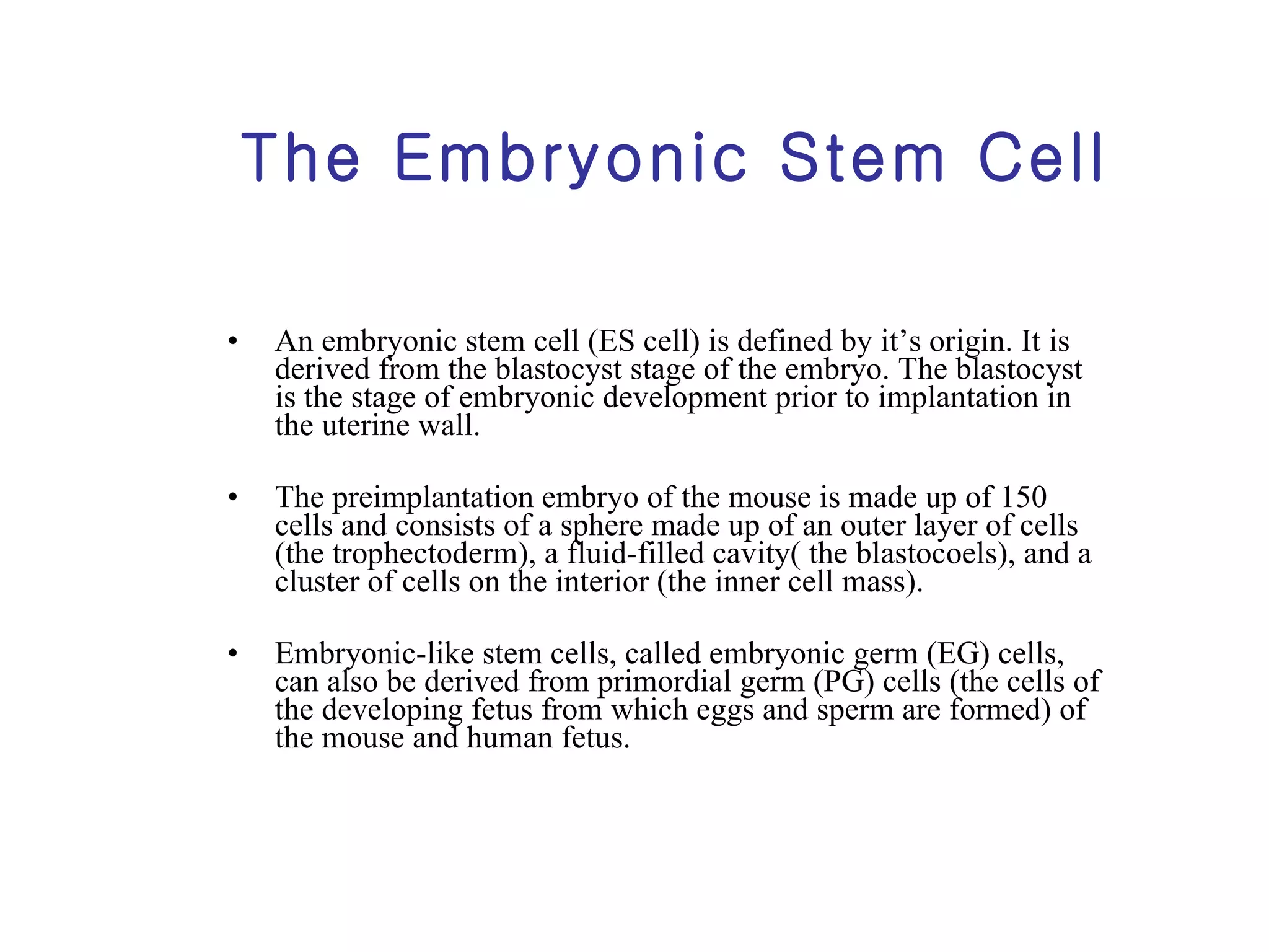 The Embryonic Stem Cell An embryonic stem cell (ES cell) is defined by it’s origin. It is derived from the blastocyst stage of the embryo. The blastocyst is the stage of embryonic development prior to implantation in the uterine wall. The preimplantation embryo of the mouse is made up of 150 cells and consists of a sphere made up of an outer layer of cells (the trophectoderm), a fluid-filled cavity( the blastocoels), and a cluster of cells on the interior (the inner cell mass). Embryonic-like stem cells, called embryonic germ (EG) cells, can also be derived from primordial germ (PG) cells (the cells of the developing fetus from which eggs and sperm are formed) of the mouse and human fetus. 