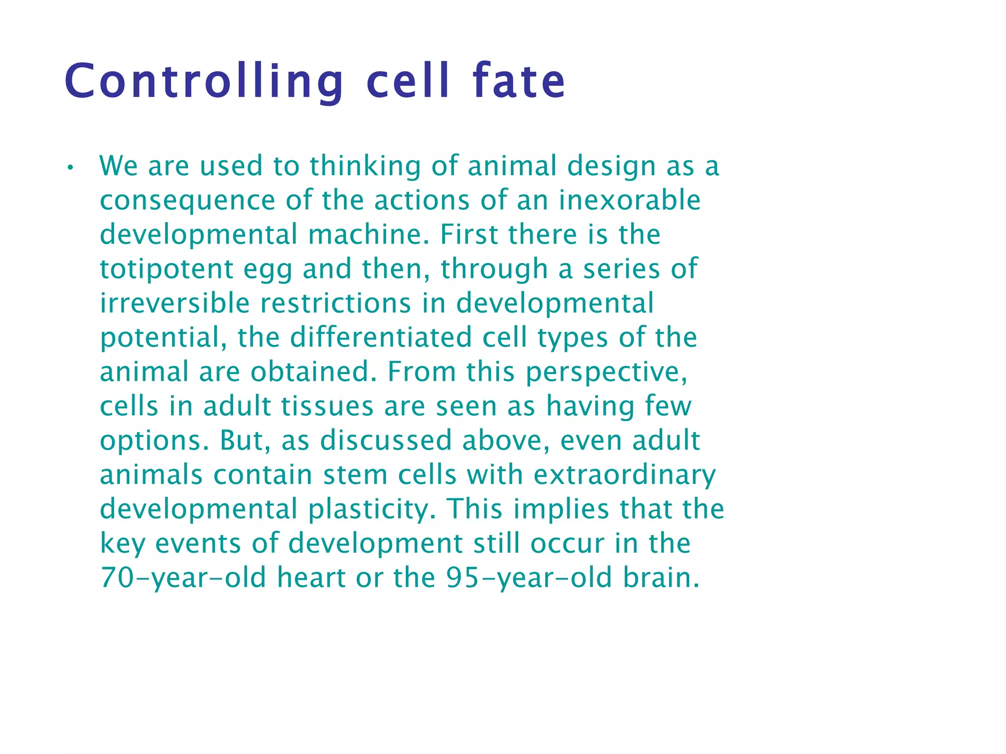Controlling cell fate We are used to thinking of animal design as a consequence of the actions of an inexorable developmental machine. First there is the totipotent egg and then, through a series of irreversible restrictions in developmental potential, the differentiated cell types of the animal are obtained. From this perspective, cells in adult tissues are seen as having few options. But, as discussed above, even adult animals contain stem cells with extraordinary developmental plasticity. This implies that the key events of development still occur in the 70-year-old heart or the 95-year-old brain. 