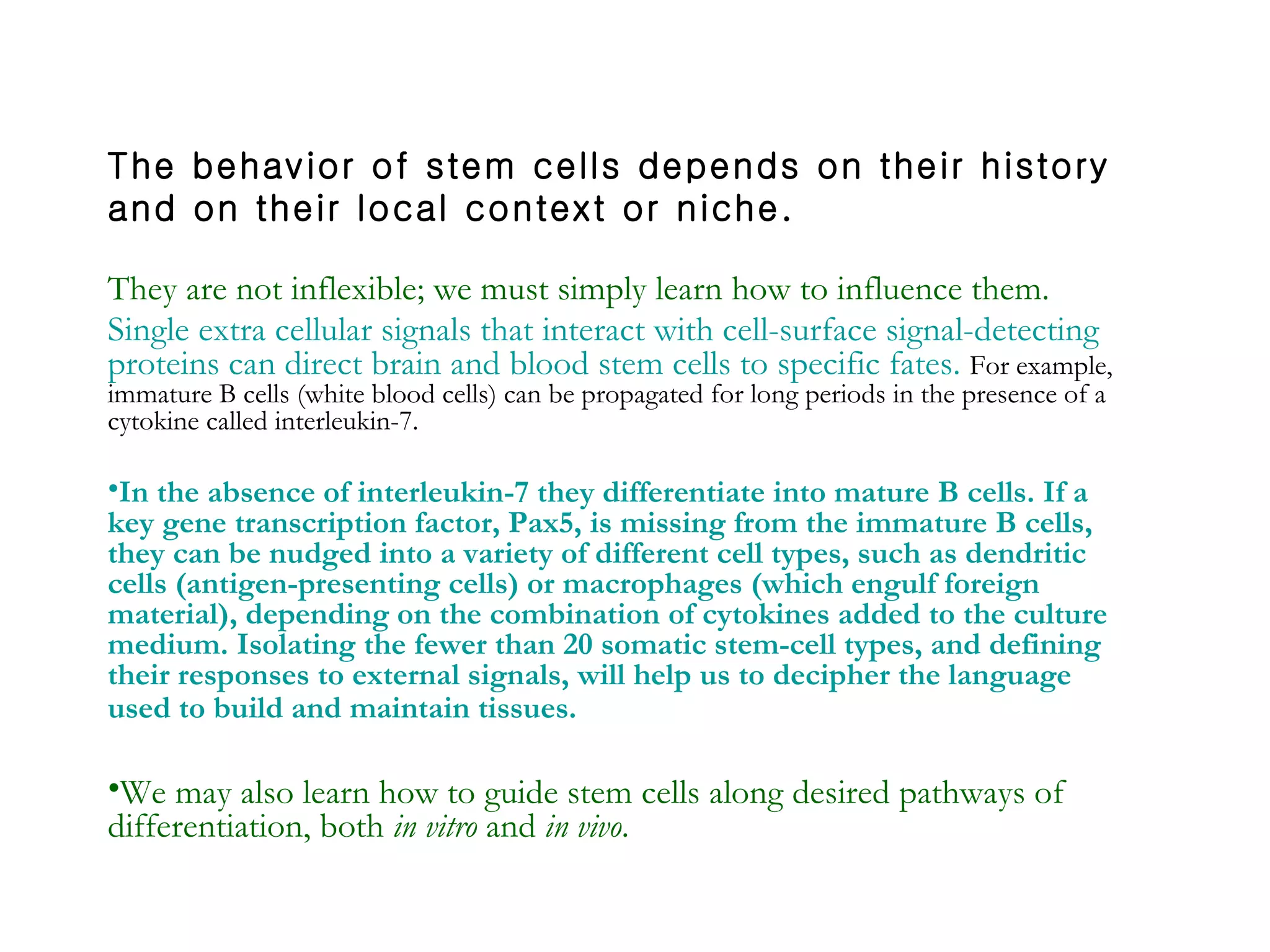 They are not inflexible; we must simply learn how to influence them.   Single extra cellular signals that interact with cell-surface signal-detecting proteins can direct brain and blood stem cells to specific fates.  For example, immature B cells (white blood cells) can be propagated for long periods in the presence of a cytokine called interleukin-7.  In the absence of interleukin-7 they differentiate into mature B cells. If a key gene transcription factor, Pax5, is missing from the immature B cells, they can be nudged into a variety of different cell types, such as dendritic cells (antigen-presenting cells) or macrophages (which engulf foreign material), depending on the combination of cytokines added to the culture medium. Isolating the fewer than 20 somatic stem-cell types, and defining their responses to external signals, will help us to decipher the language used to build and maintain tissues.   We may also learn how to guide stem cells along desired pathways of differentiation, both  in vitro  and  in vivo . The behavior of stem cells depends on their history and on their local context or niche. 