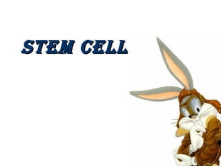 STEM CELL

 