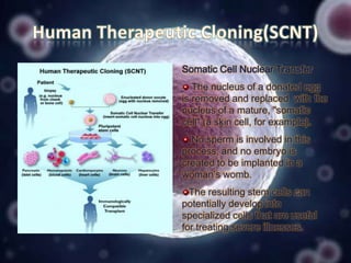 Somatic Cell Nuclear Transfer
The nucleus of a donated egg
is removed and replaced with the
nucleus of a mature, "somatic
cell" (a skin cell, for example).
No sperm is involved in this
process, and no embryo is
created to be implanted in a
woman’s womb.
The resulting stem cells can
potentially develop into
specialized cells that are useful
for treating severe illnesses.

 