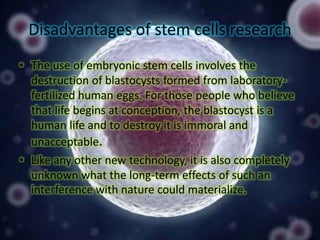 Disadvantages of stem cells research
• The use of embryonic stem cells involves the
destruction of blastocysts formed from laboratoryfertilized human eggs. For those people who believe
that life begins at conception, the blastocyst is a
human life and to destroy it is immoral and
unacceptable.
• Like any other new technology, it is also completely
unknown what the long-term effects of such an
interference with nature could materialize.

 