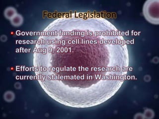 Federal Legislation

 