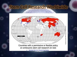Stem Cell Research Worldwide

 