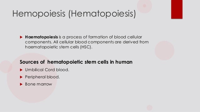 monophyletic theory of hematopoiesis stem cells hematopoiesis