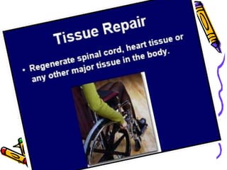 10/29/2015
Dr. Hariom Yadav
 