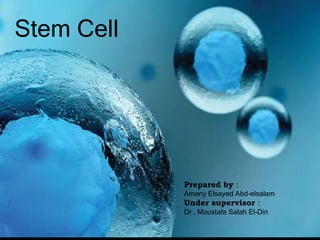 Stem Cell
Prepared by :
Amany Elsayed Abd-elsalam
Under supervisor :
Dr . Moustafa Salah El-Din
 