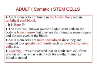 ADULT ( Somatic ) STEM CELLS
♦ Adult stem cells are found in the human body and in
umbilical cord blood.
- It is Rare 
♦ The most well known source of adult stem cells in the
body is bone marrow but they are also found in many organs
and tissues; even in the blood.
♦ Adult stem cells are more specialized since they are
assigned to a specific cell family such as blood cells, nerve
cells, etc.
♦ Recently, it was discovered that an adult stem cell from
one tissue may act as a stem cell for another tissue, i.e.
blood to neural
 