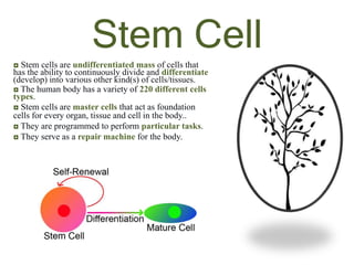 Stem Cell
◘ Stem cells are undifferentiated mass of cells that
has the ability to continuously divide and differentiate
(develop) into various other kind(s) of cells/tissues.
◘ The human body has a variety of 220 different cells
types.
◘ Stem cells are master cells that act as foundation
cells for every organ, tissue and cell in the body..
◘ They are programmed to perform particular tasks.
◘ They serve as a repair machine for the body.
 
