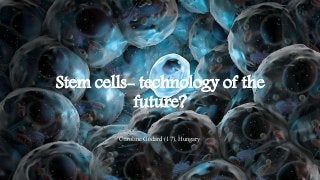 Stem cells- technology of the
future?
Caroline Godard (17), Hungary
 