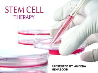 1
STEM CELL THERAPY
PRESENTED BY: AMEENA
MEHABOOB
 