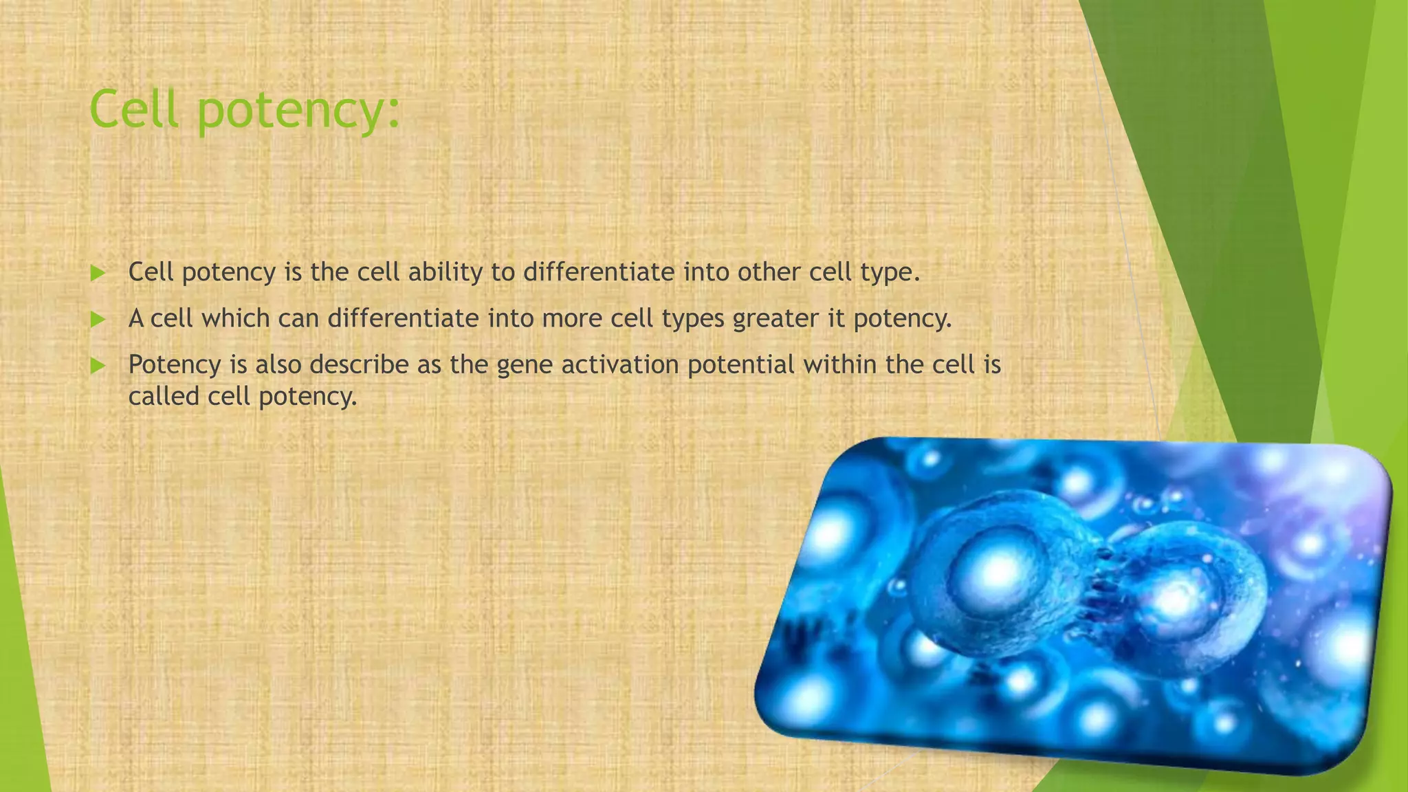Stem cell its definition types and application ppt