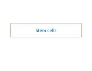 Stem cells
 