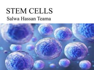 STEM CELLS
Salwa Hassan Teama
 