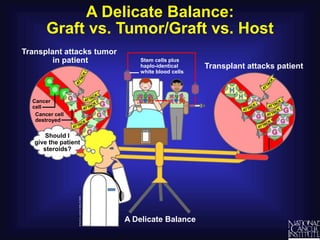 A Delicate Balance:
Graft vs. Tumor/Graft vs. Host
Stem cells plus
haplo-identical
white blood cells
Cancer cell
destroyed
Cancer
cell
Transplant attacks patient
Transplant attacks tumor
in patient
A Delicate Balance
Should I
give the patient
steroids?
 