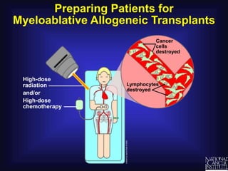 Preparing Patients for
Myeloablative Allogeneic Transplants
High-dose
radiation
and/or
High-dose
chemotherapy
Lymphocytes
destroyed
Cancer
cells
destroyed
 