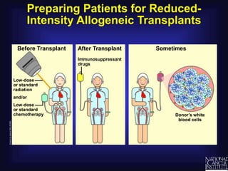 Preparing Patients for Reduced-
Intensity Allogeneic Transplants
Before Transplant
Donor’s white
blood cells
Sometimes
After Transplant
Low-dose
or standard
radiation
and/or
Low-dose
or standard
chemotherapy
Immunosuppressant
drugs
 