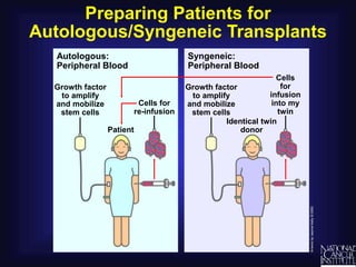 Preparing Patients for
Autologous/Syngeneic Transplants
Syngeneic:
Peripheral Blood
Growth factor
to amplify
and mobilize
stem cells
Patient
Autologous:
Peripheral Blood
Cells
for
infusion
into my
twin
Identical twin
donor
Cells for
re-infusion
Growth factor
to amplify
and mobilize
stem cells
 