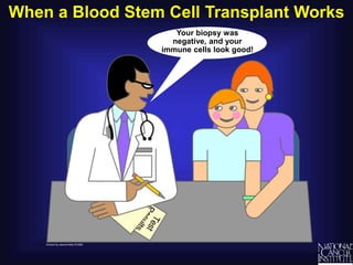 When a Blood Stem Cell Transplant Works
Your biopsy was
negative, and your
immune cells look good!
 