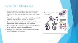 Stem Cell : Introduction
 Stem cells are cells with the potential to develop into many
different types of cells in the body. They serve as a repair
system for the body. This can range from muscle cells to brain
cells.
 Stem cells are the body's raw materials — cells from which all
other cells with specialized functions are generated.
 These cells are the earliest cells of the cell lineage in all tissues
and are found in both embryonic and adult organisms.
 These cells provide a continuous supply of new cells that make
up the tissues and organs of animals and plants.
 Stem cells have been of great interest as a therapeutic method
for various diseases and conditions.
 