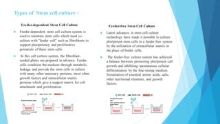 Types of Stem cell culture :
Feeder-dependent Stem Cell Culture
 Feeder-dependent stem cell culture system is
used to maintain stem cells which need co-
culture with "feeder cell" such as fibroblasts to
support pluripotency and proliferative
potentials of these stem cells.
 In this cell culture system, the fibroblast-
seeded plates are prepared in advance. Feeder
cells condition the medium through metabolic
leakage and provide the stem cells in culture
with many other necessary proteins, most often
growth factors and extracellular matrix
proteins which give a support matrix for cell
attachment and proliferation.
Feeder-free Stem Cell Culture
 Latest advances in stem cell culture
technology have made it possible to culture
pluripotent stem cells in a feeder-free system
by the utilization of extracellular matrix in
the place of feeder cells.
 The feeder-free culture system has achieved
a balance between promoting pluripotent cell
growth and inhibiting spontaneous cellular
differentiation by the fine-tuning medium
formulation of essential amino acids, salts,
other nutritional elements, and growth
factors.
 