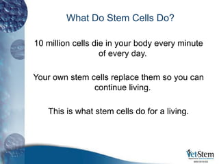What Do Stem Cells Do?
10 million cells die in your body every minute
of every day.
Your own stem cells replace them so you can
continue living.
This is what stem cells do for a living.
6650-0018-002
 