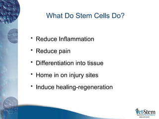 What Do Stem Cells Do?
• Reduce Inflammation
• Reduce pain
• Differentiation into tissue
• Home in on injury sites
• Induce healing-regeneration
6650-0019-001
 