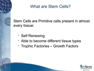 What are Stem Cells?
Stem Cells are Primitive cells present in almost
every tissue:
• Self Renewing
• Able to become different tissue types
• Trophic Factories – Growth Factors
6650-0018-002
 