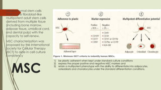 MSC
- Mesenchymal stem cells
(MSCs) are fibroblast-like
multipotent adult stem cells
derived from multiple tissue
(including bone marrow,
adipose tissue, umbilical cord,
and dental pulp) with the
capacity to self-renew.
- MSC characterization was
proposed by the International
Society for Cellular Therapy
(ISCT) to aide in cell culture
consistency
1) be plastic adherent when kept under standard culture conditions
2) express the proper positive and negative MSC markers and
3) retain a multipotent phenotype with the ability to differentiate into adipocytes,
osteoblasts and chondrocytes under the standard differentiation conditions.
 