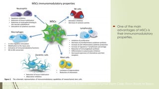 One of the main
advantages of MSCs is
their immunomodulatory
properties.
Andrzejewska A, Lukomska B, Janowski M. Concise Review: Mesenchymal Stem Cells: From Roots to Boost.
Vol. 37, Stem Cells. 2019. p. 855–64.
 