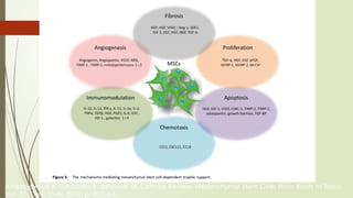 Andrzejewska A, Lukomska B, Janowski M. Concise Review: Mesenchymal Stem Cells: From Roots to Boost.
Vol. 37, Stem Cells. 2019. p. 855–64.
 