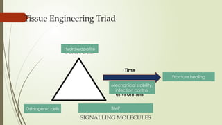 Tissue Engineering Triad
SCAFFOLD
SIGNALLING MOLECULES
CELLS
IMPROVEMENT
Time
Appropriate
environment
Hydroxyapatite
Osteogenic cells BMP
Mechanical stability,
infection control
Fracture healing
 